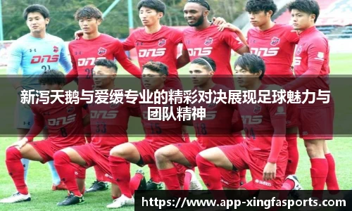兴发体育平台